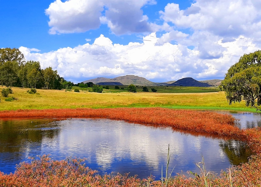 9 Bedroom Property for Sale in Fouriesburg Free State
